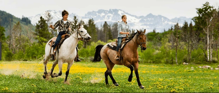 Confident plus-size woman riding Leatherhead a horse through a field with a smile on her face.
